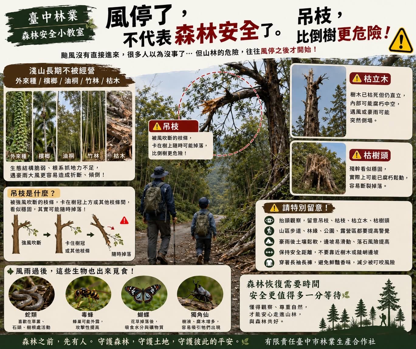 森林安全小教室：風停了，不代表森林安全了（吊枝）